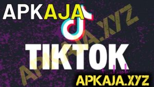 TikTok Plugin APK