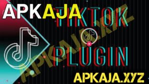 TikTok Plugin APK
